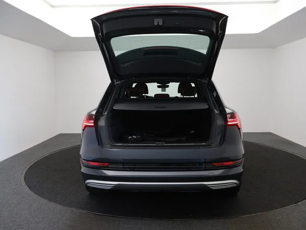 AUDI e-tron (2022) — foto 18 van 28