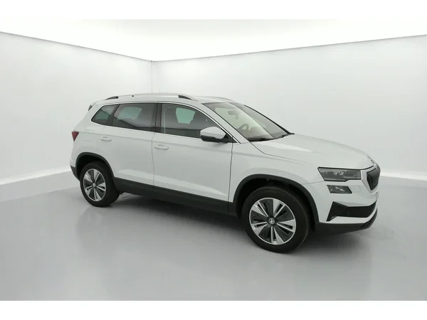 SKODA Karoq (2023) — foto 31 van 36