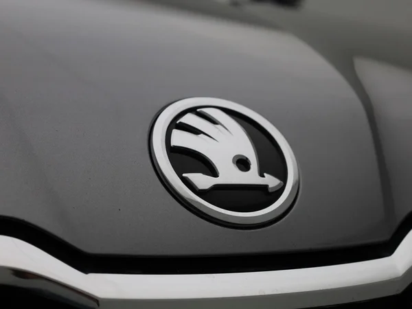 Škoda Kodiaq (2022) — foto 39 van 47