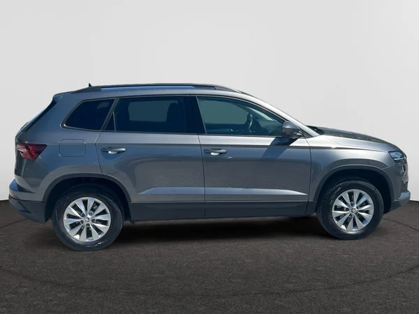 SKODA Karoq (2022) — foto 9 van 18