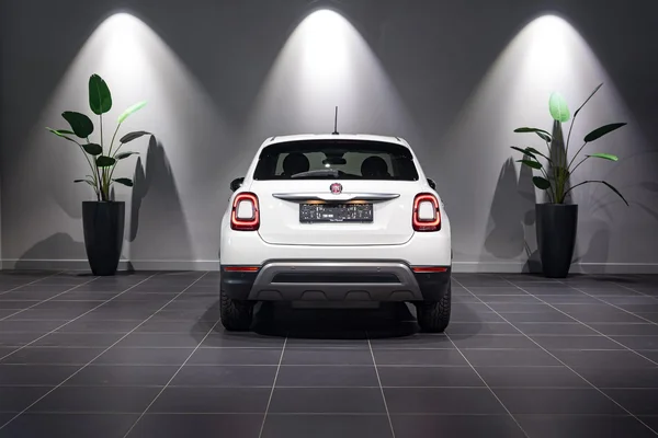 Fiat 500X (2020) — foto 24 van 28