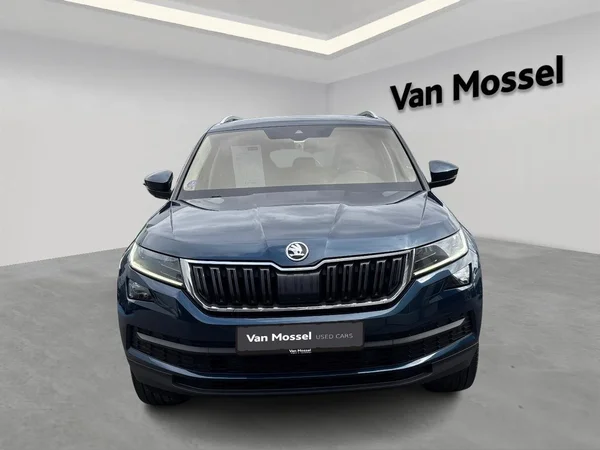 Škoda Kodiaq (2018) — foto 12 van 23