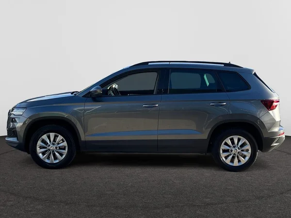 SKODA Karoq (2023) — foto 8 van 16
