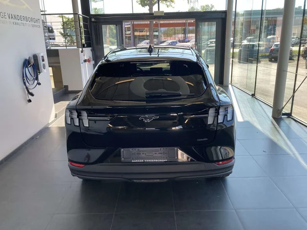 Ford Mustang Mach-E (2024) — foto 16 van 20