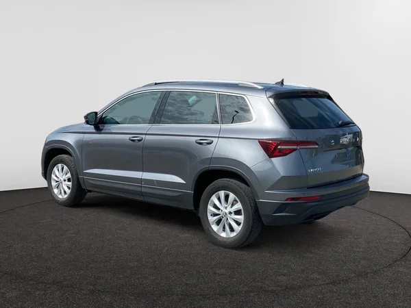 SKODA Karoq (2023) — foto 11 van 17