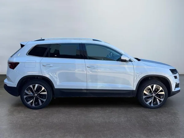 SKODA Karoq Dsl (2023) — foto 28 van 32