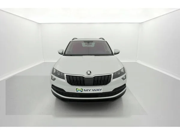 SKODA Karoq Dsl (2021) — foto 12 van 36