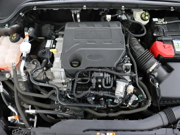 FORD Focus (2020) — foto 6 van 28