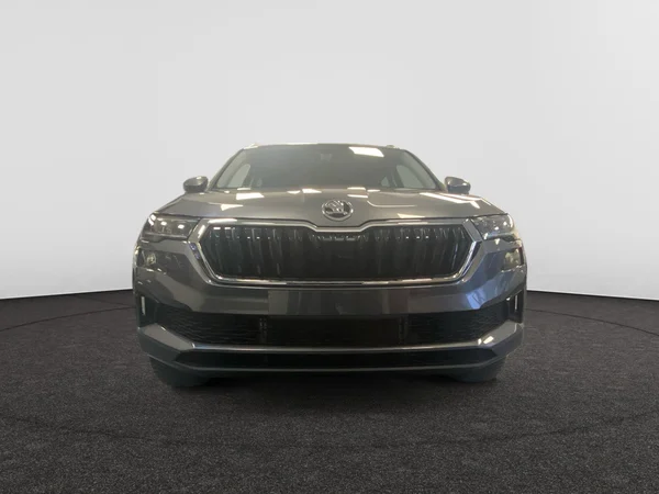 SKODA Karoq (2025) — foto 8 van 16