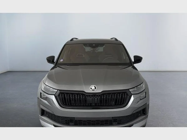Skoda Kodiaq (2023) — foto 10 van 15