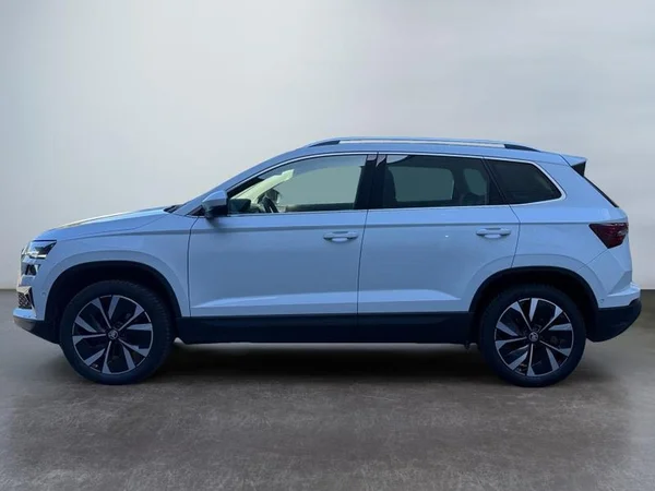 SKODA Karoq Dsl (2023) — foto 27 van 32