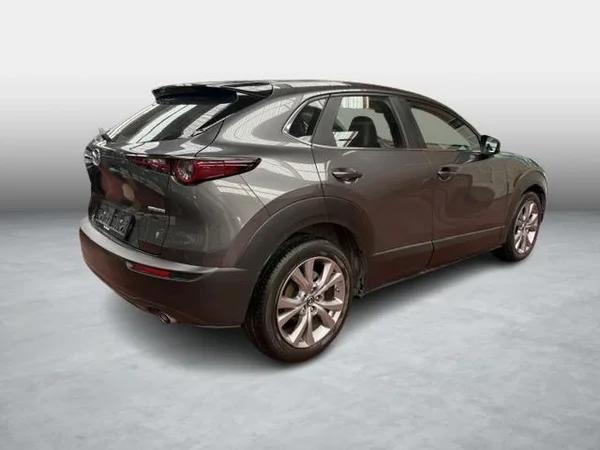Mazda CX-30 (2019) — foto 11 van 15