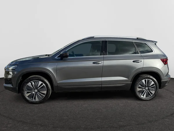 SKODA Karoq (2025) — foto 8 van 21
