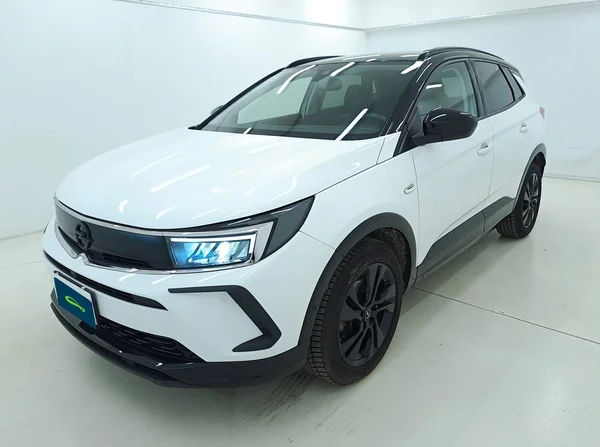 Opel Grandland (2022) — foto 24 van 25
