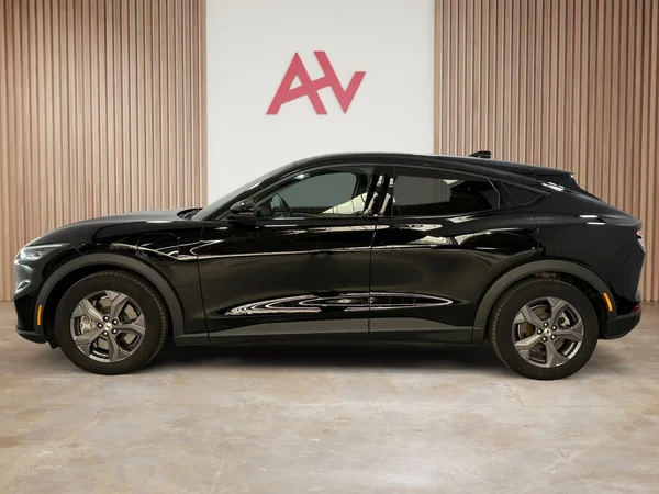 Ford Mustang-Mach-E (2021) — foto 2 van 29