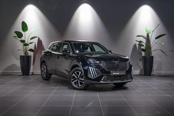 Peugeot 2008 (2025) — foto 23 van 33