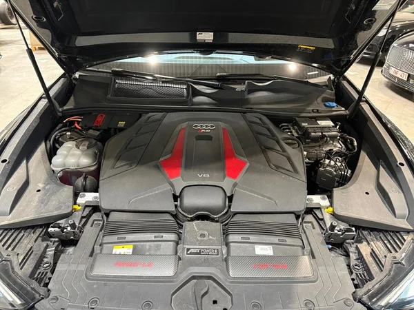 AUDI RS Q8 SUV (2024) — foto 13 van 22