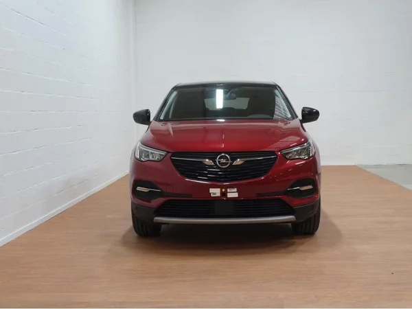 Opel Grandland X (2020) — foto 20 van 20