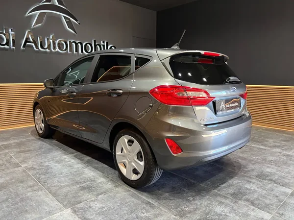 Ford Fiesta (2020) — foto 19 van 22