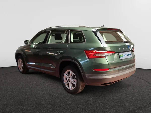SKODA Kodiaq Dsl (2020) — foto 17 van 23