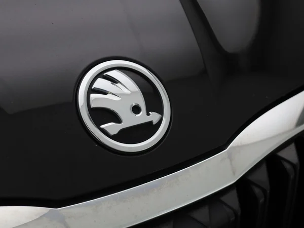 Škoda Octavia (2023) — foto 31 van 44