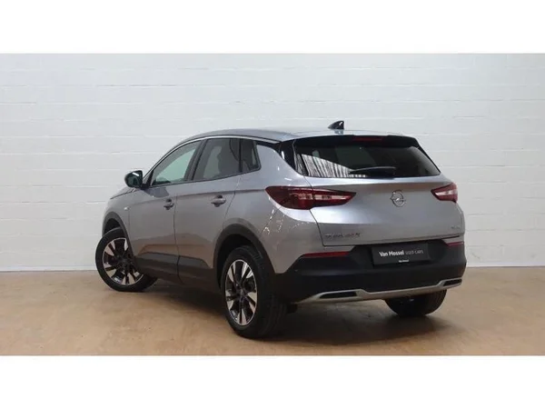 Opel Grandland X (2020) — foto 14 van 19