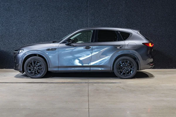 Mazda CX-60 (2023) — foto 34 van 44