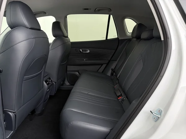 GEELY Starray EM-i (2026) — foto 5 van 29