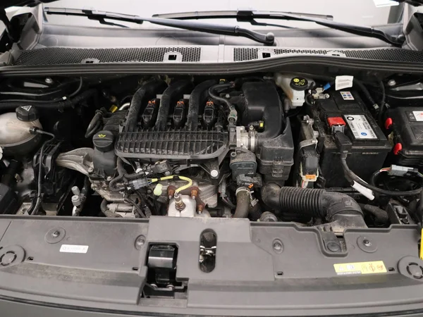 Opel Corsa (2023) — foto 20 van 34