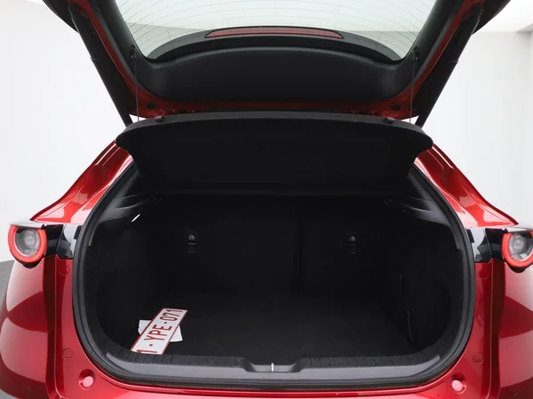 Mazda CX-30 (2020) — foto 8 van 40