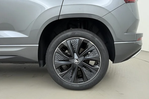 Skoda Karoq (2026) — foto 16 van 19