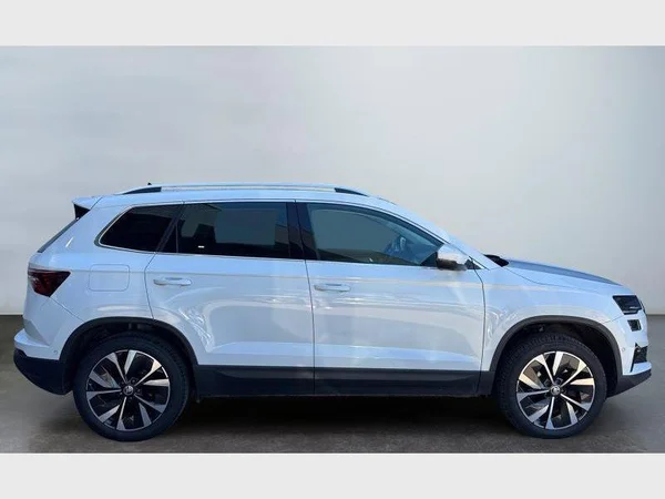 Skoda Karoq (2023) — foto 25 van 30
