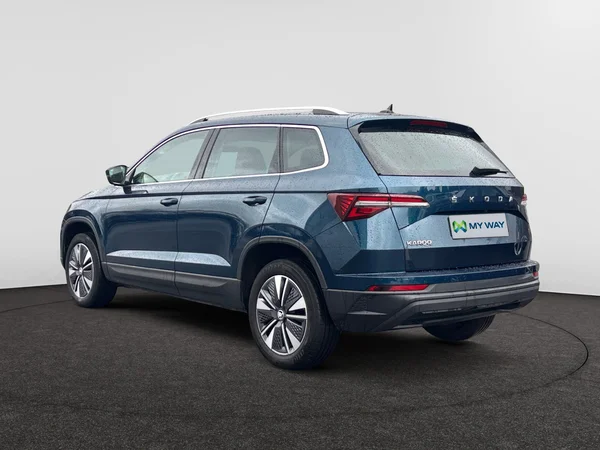 SKODA Karoq (2024) — foto 11 van 18