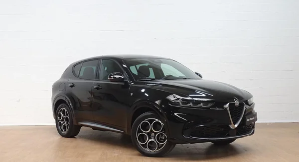Alfa Romeo Tonale (2024) — foto 12 van 26