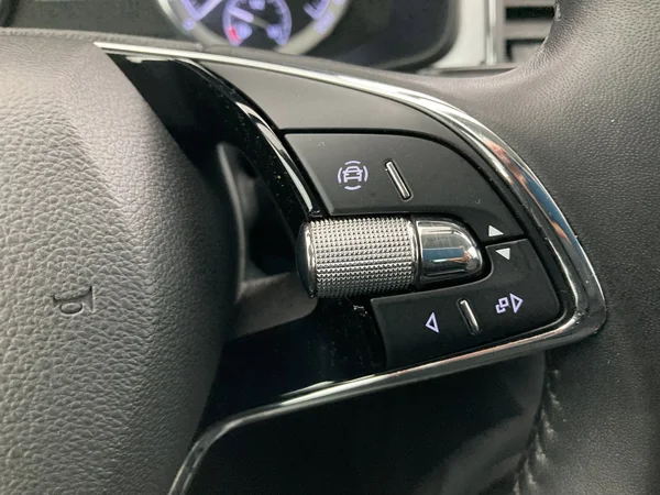 SKODA Kodiaq (2022) — foto 13 van 36