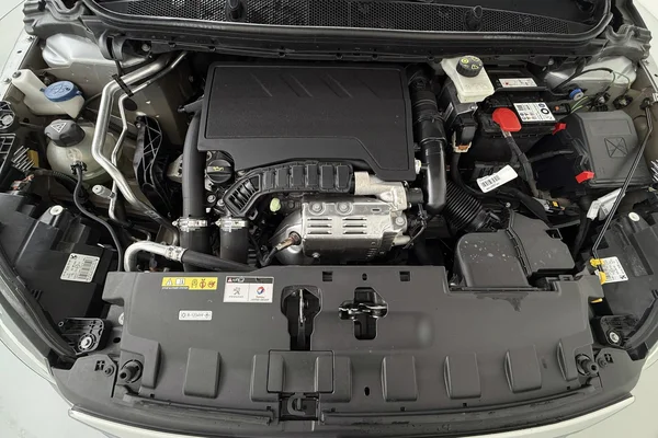 Peugeot 308 (2020) — foto 15 van 28