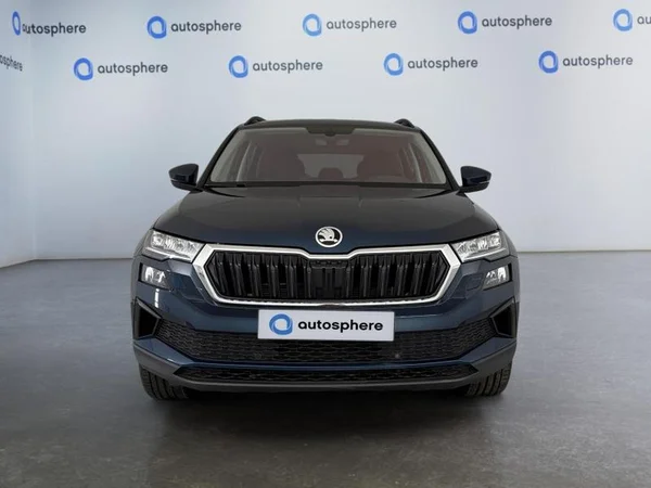 SKODA Karoq Dsl (2022) — foto 11 van 17