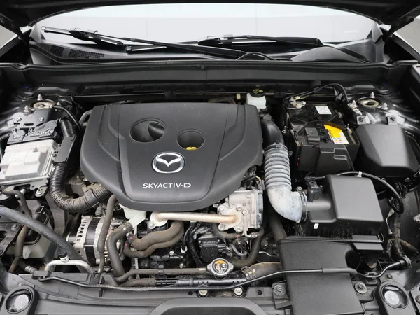 Mazda CX-30 (2020) — foto 33 van 41