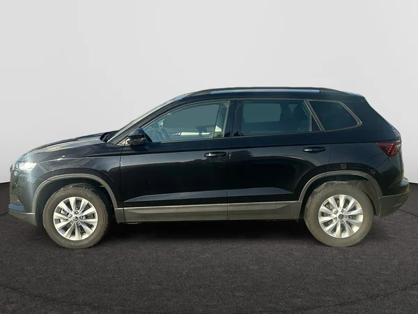 SKODA Karoq (2024) — foto 12 van 24