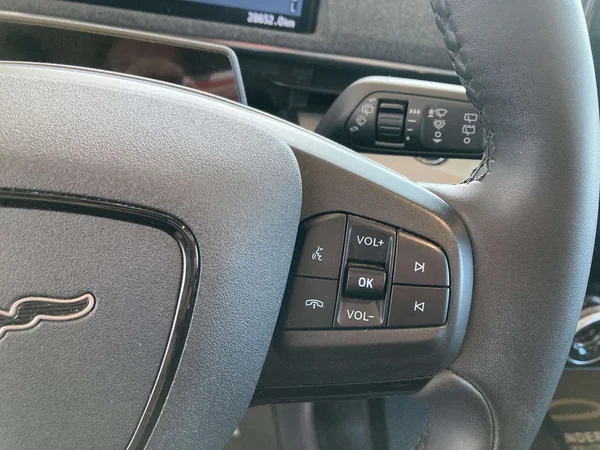 Ford Mustang Mach-E (2024) — foto 10 van 20