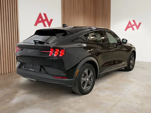 Ford Mustang-Mach-E (2021) — foto 25 van 29