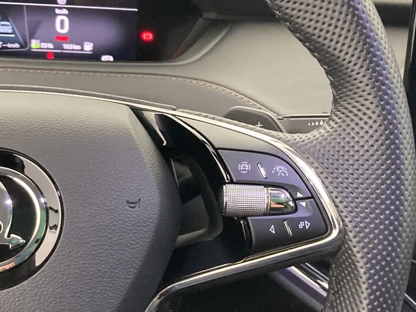 SKODA Enyaq (2022) — foto 24 van 37