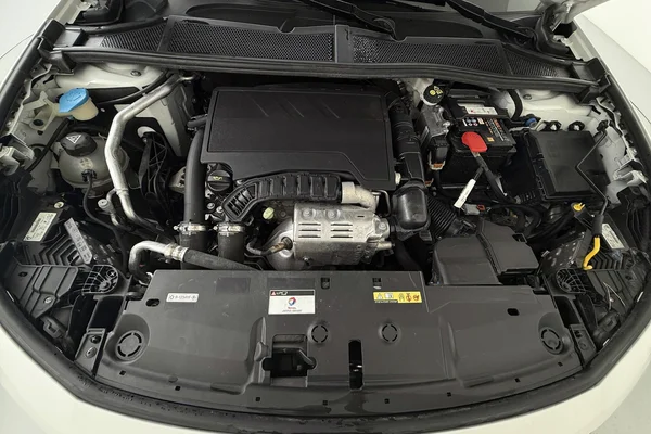 Peugeot 308 (2022) — foto 10 van 24