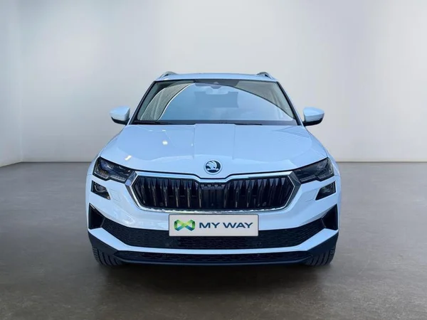 SKODA Karoq Dsl (2023) — foto 23 van 32