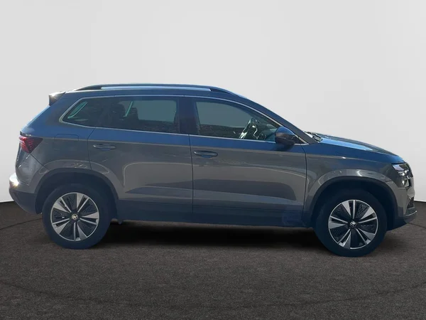 SKODA Karoq (2022) — foto 21 van 24