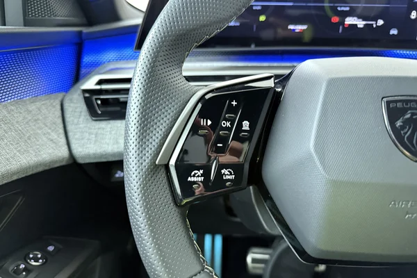 Peugeot 3008 (2025) — foto 6 van 25