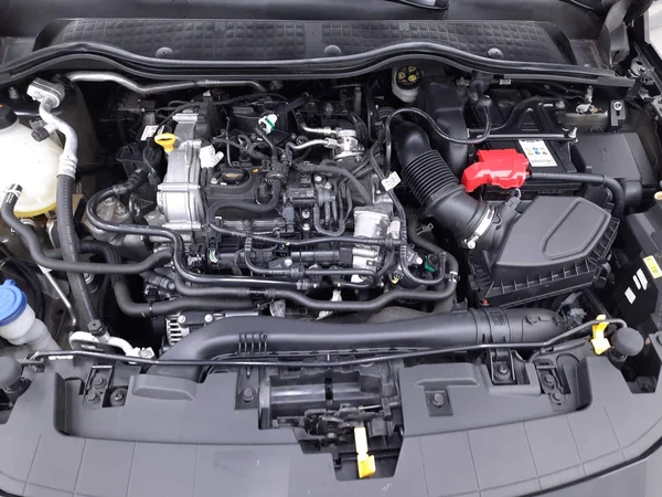 Ford Fiesta (2022) — foto 8 van 25