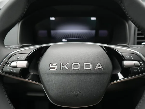 SKODA Karoq (2026) — foto 10 van 26