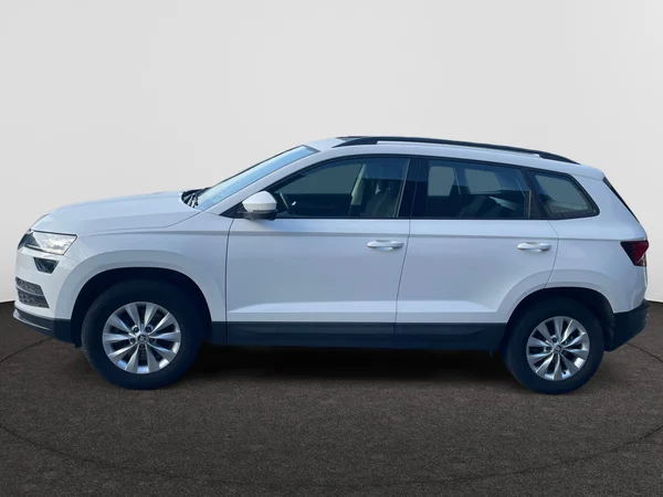 SKODA Karoq (2018) — foto 12 van 21