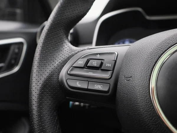 MG ZS EV (2019) — foto 16 van 38